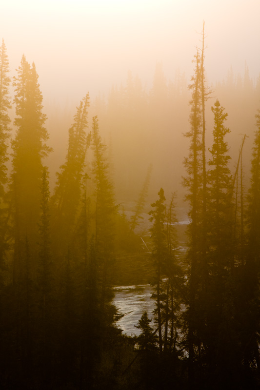 Mist In Toad River Valley